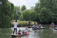 Punting på River Cam