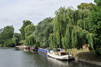 Riverboat Georgina