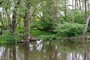 Vandløb, Allevadslilla (20110520_0163).