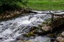 Fisketrappe, Allevadslilla (20110520_0164).