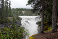 Athabasca Falls, Jasper, Canada.