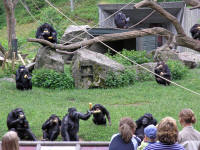 Kolmårdens Djurpark